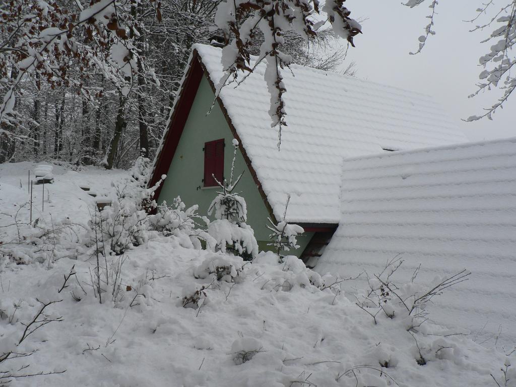Gite De La Lisiere Du Bois Ueberstrass Quarto foto