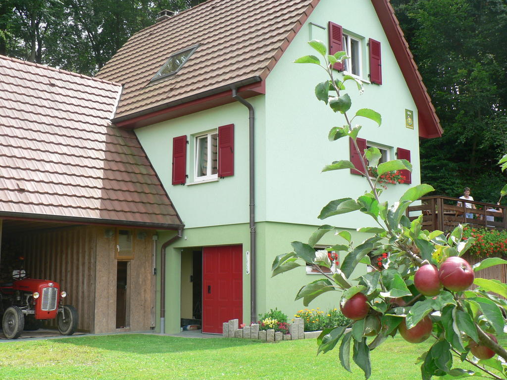 Gite De La Lisiere Du Bois Ueberstrass Quarto foto